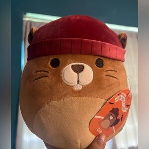 Chip Halloween squishmallow